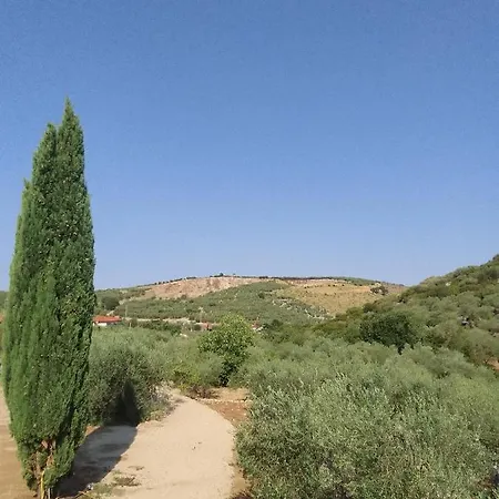 L'oasi Di Juba