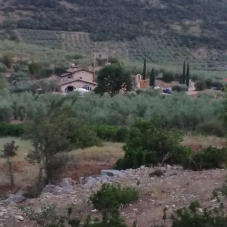L'oasi Di Juba *