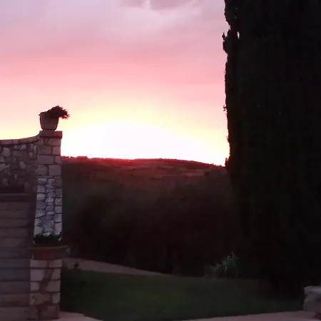 L'oasi Di Juba